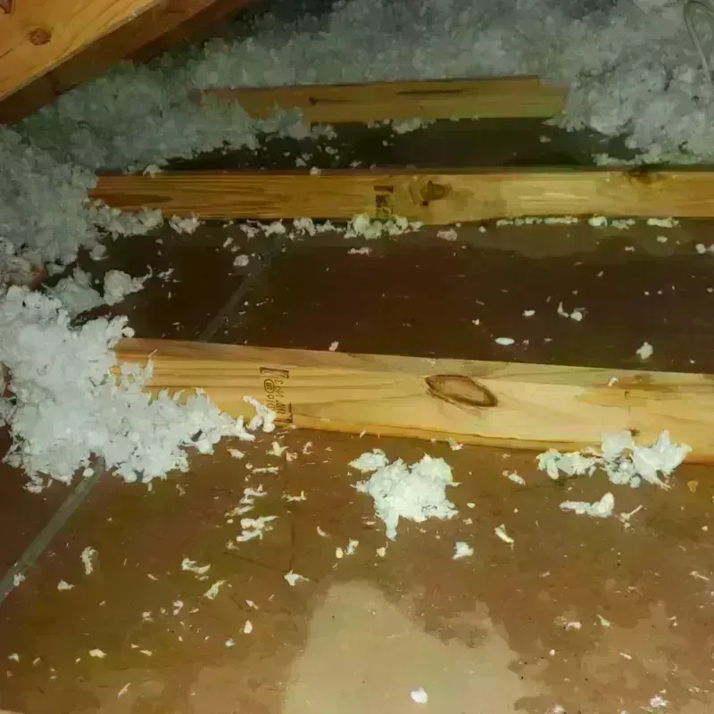 Attic Water Damage in George West, TX