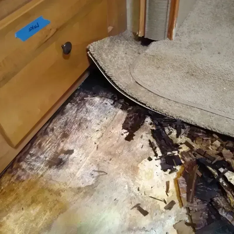 Wood Floor Water Damage in George West, TX